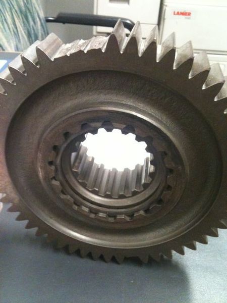 badgear.jpg